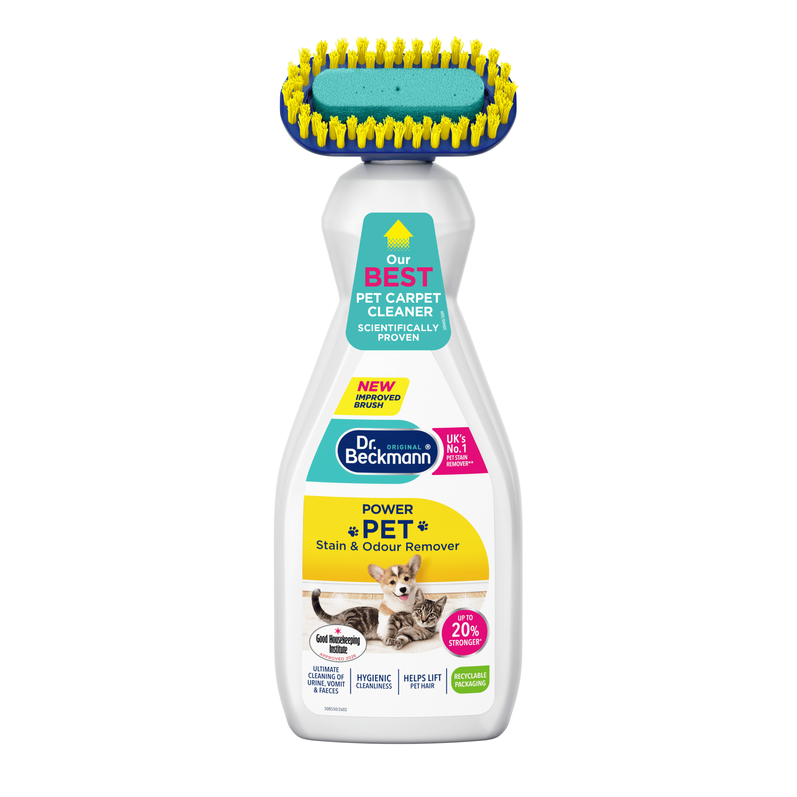 Pet - new image