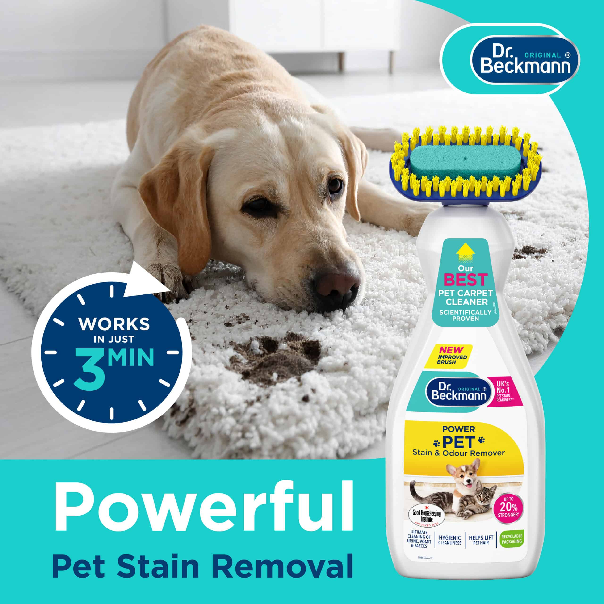 PetStainRemoverPDPs_1