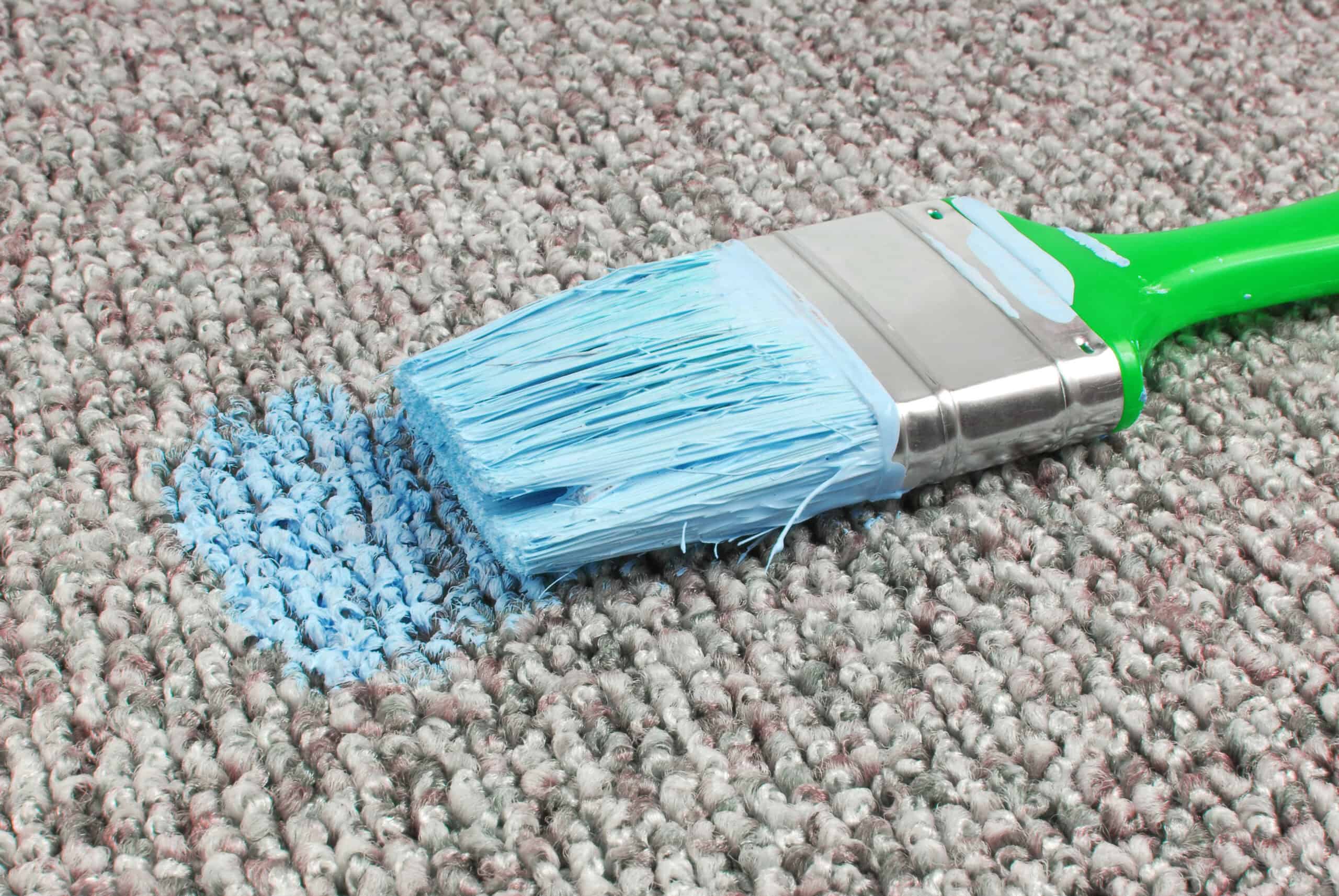 paint-stain-on-carpet